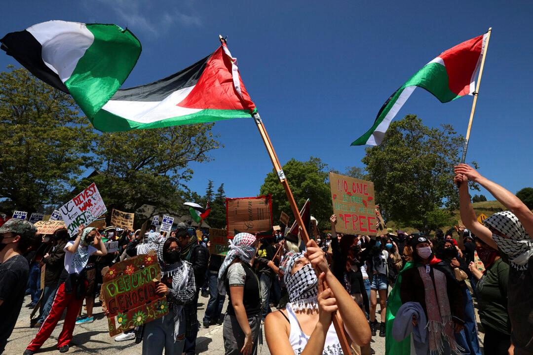Police Arrest 80 at Israel-Hamas War Protest at UC Santa Cruz