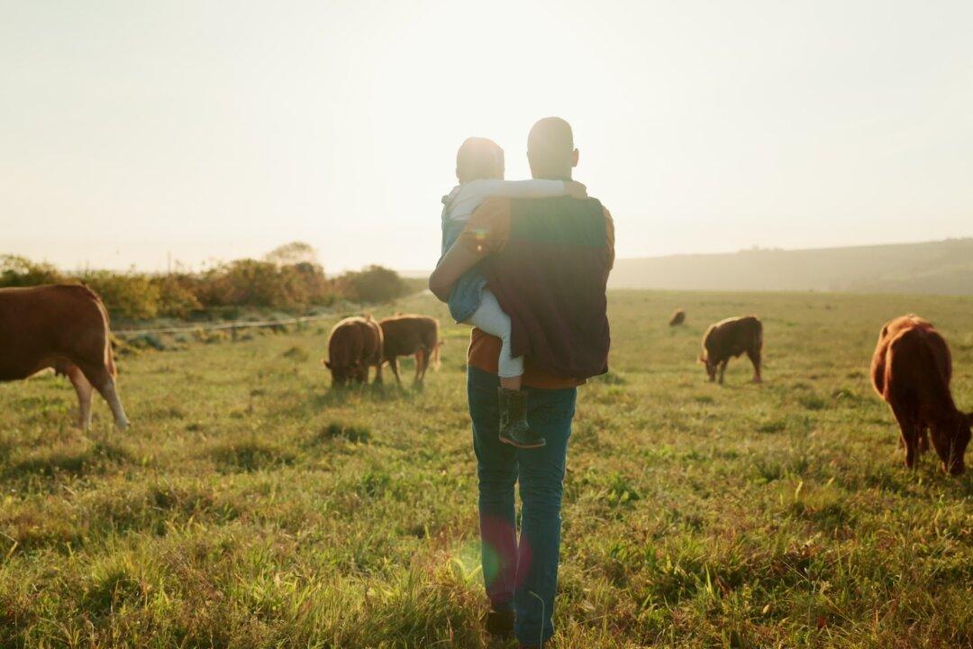 Five Reasons I Prefer Country Life