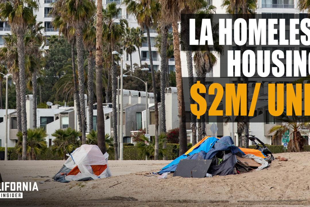 LA Doctor Explains Why Homelessness Is Growing in the City | Houman Hemmati