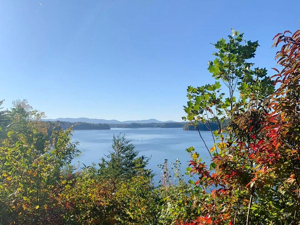 Rural Western North Carolina Community Protests ‘Covert’ Plans for EV Battery Plant