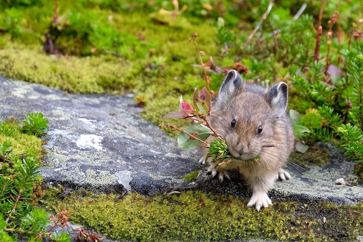 (Marina Poushkina/Shutterstock)