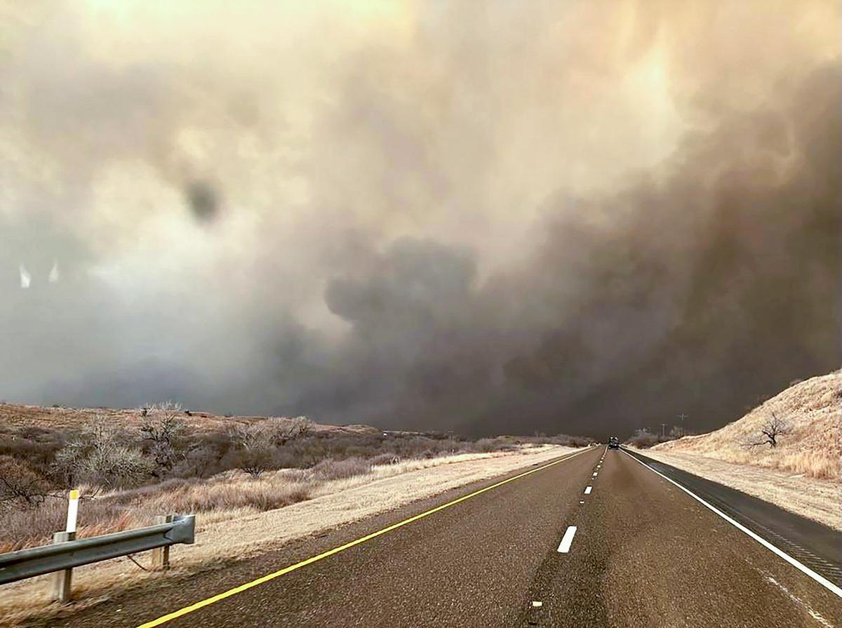 Sen. Ted Cruz, Rep. Ronny Jackson Push Bill to Help Ranchers Devastated by Texas Wildfires