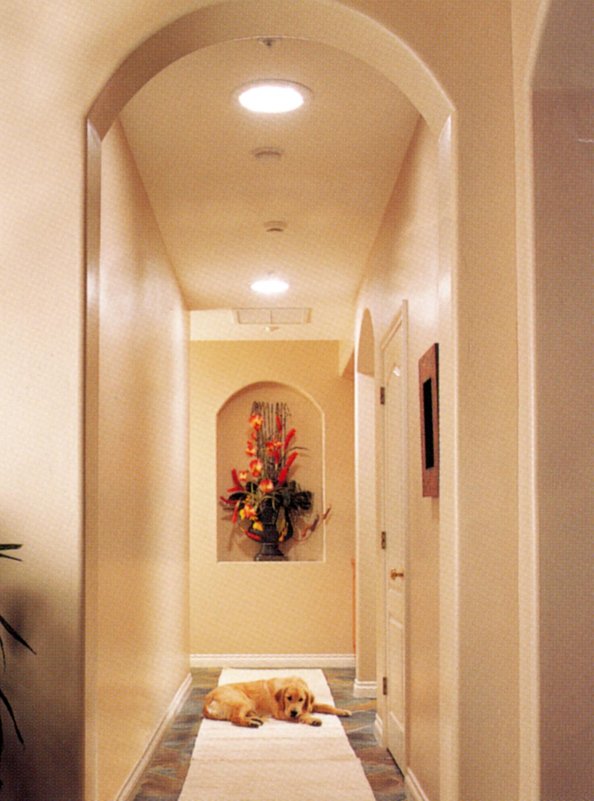 Install a Tubular Skylight