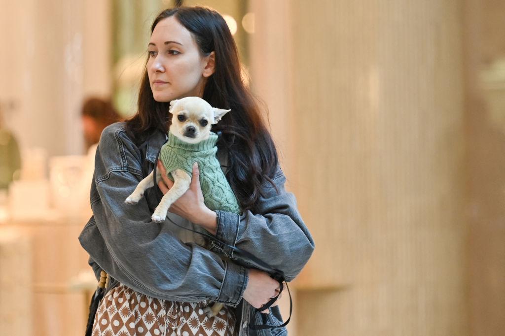 Push for Pets on Trains, Buses at Parliament ‘Pawtest’