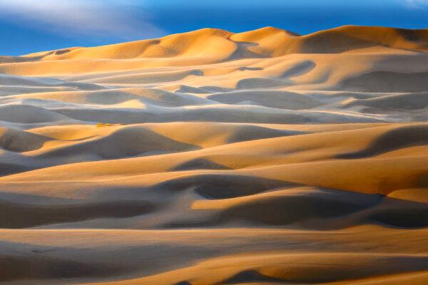 The Oregon Dunes is the largest expanse of coastal sand dunes in North America. (Maria Coulson)
