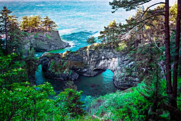 Arch rocks sprouting Sitka Spruce at the Natural Bridges overlook on the southern coast. (Maria Coulson)