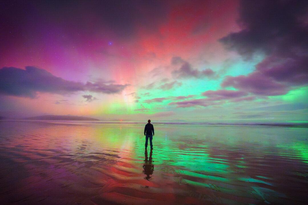 Aurora Chaser in Tasmania Wakes at 3am to See Largest Southern Lights in 20 Years–Gets Photos