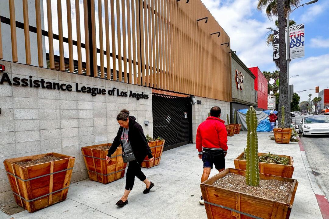 Hollywood Businesses Put Potted Cacti on Sidewalks to Discourage Homeless Camps