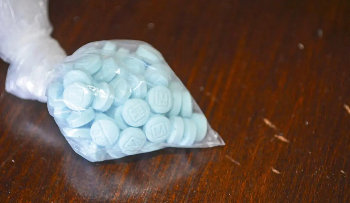 Tory MPs Ask Why Health Officer Won’t Directly Say Consuming Illegal Fentanyl Is Unsafe
