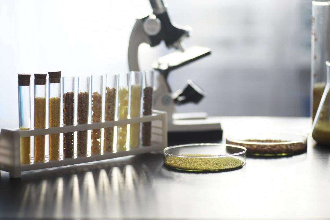 Is There Mold in Your Coffee? Mycotoxins in Coffee and Why They Are Harmful for Your Health