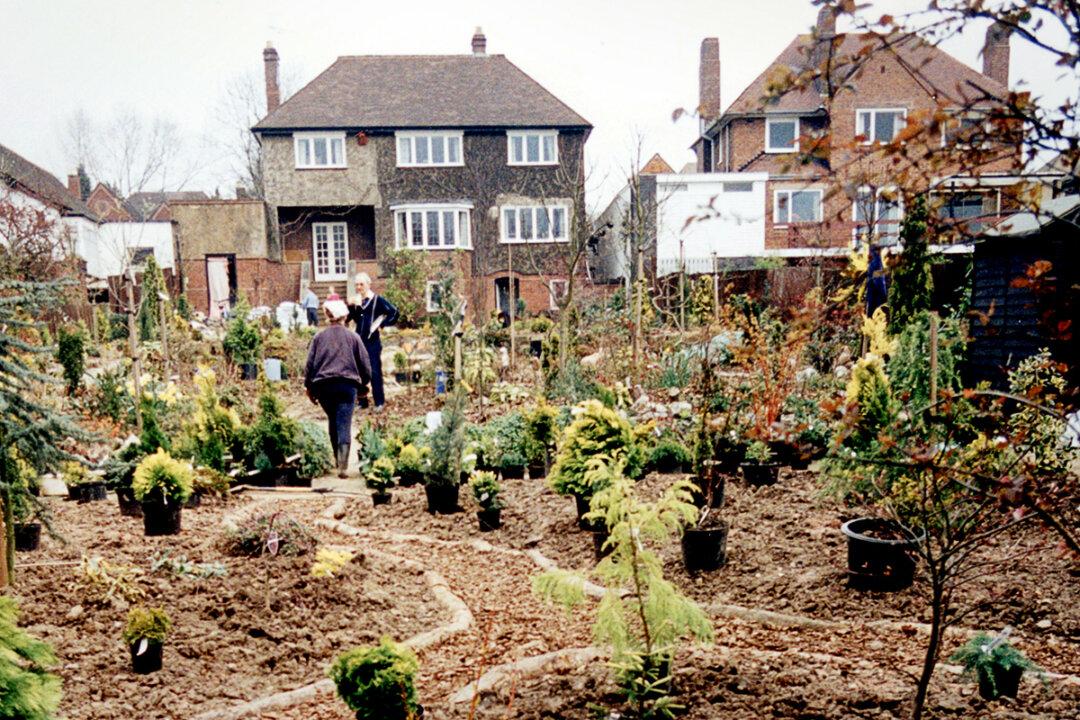 Couple Spent 42 Years and Over $19,000 on Transforming Their Garden Into an Idyllic Oasis—Here’s How It Looks