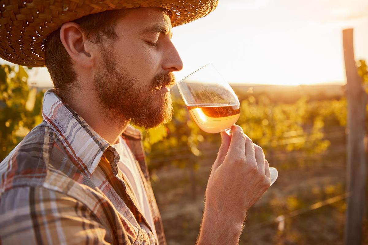 Wine Aromas