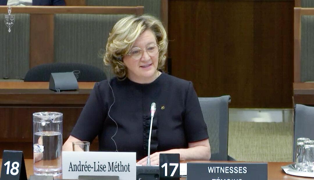 Former Federal Green Fund Director Who Gave Money to Own Companies Resigns From Infrastructure Bank