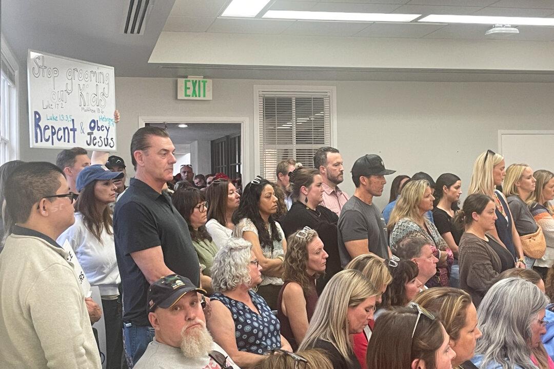 Parents, Teachers Divided Over ‘My Shadow Is Pink’ Book in San Diego County School District