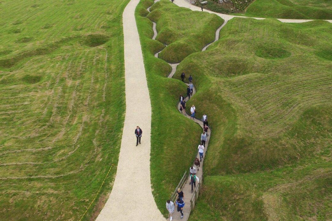 Remains of Unknown Newfoundland Soldier Who Fought in France Coming Home This Weekend