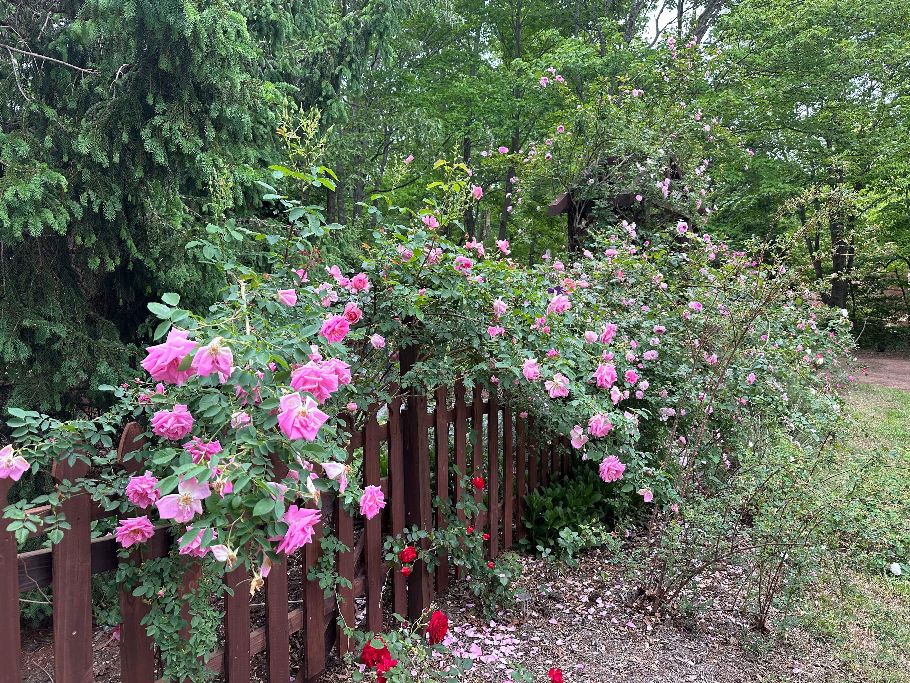 image-5656693