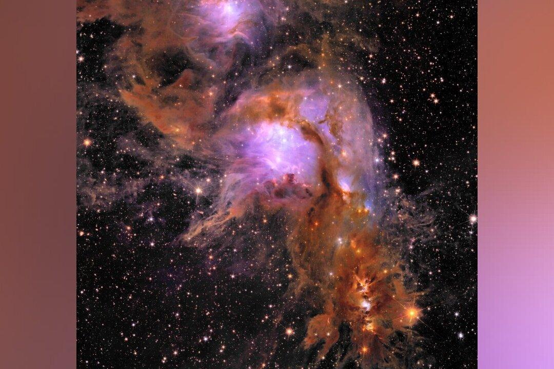 Massive Cradle of Baby Stars Revealed in New Space Telescope Images