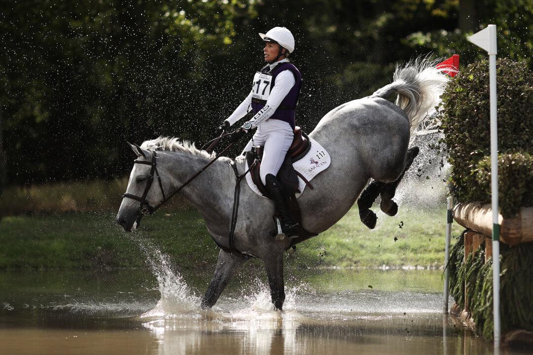 Equestrian Rider Dies After Falling at Event in Devon