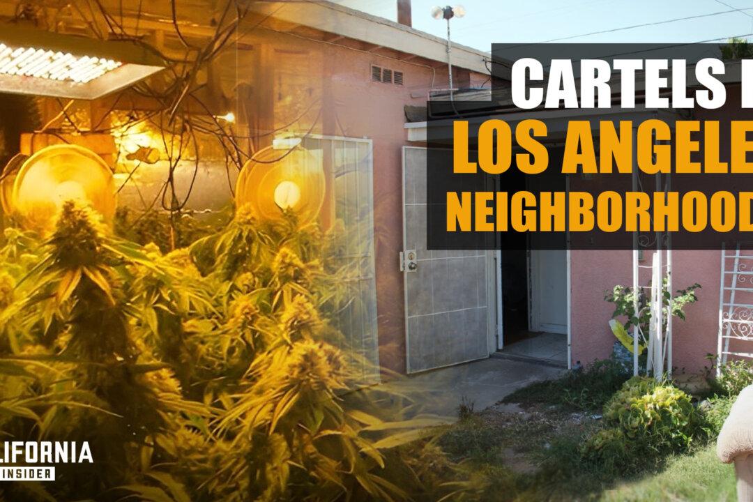 California Cities Facing Cartel Style Illegal Growers in Neighborhoods | David Welch | Jake Fisher