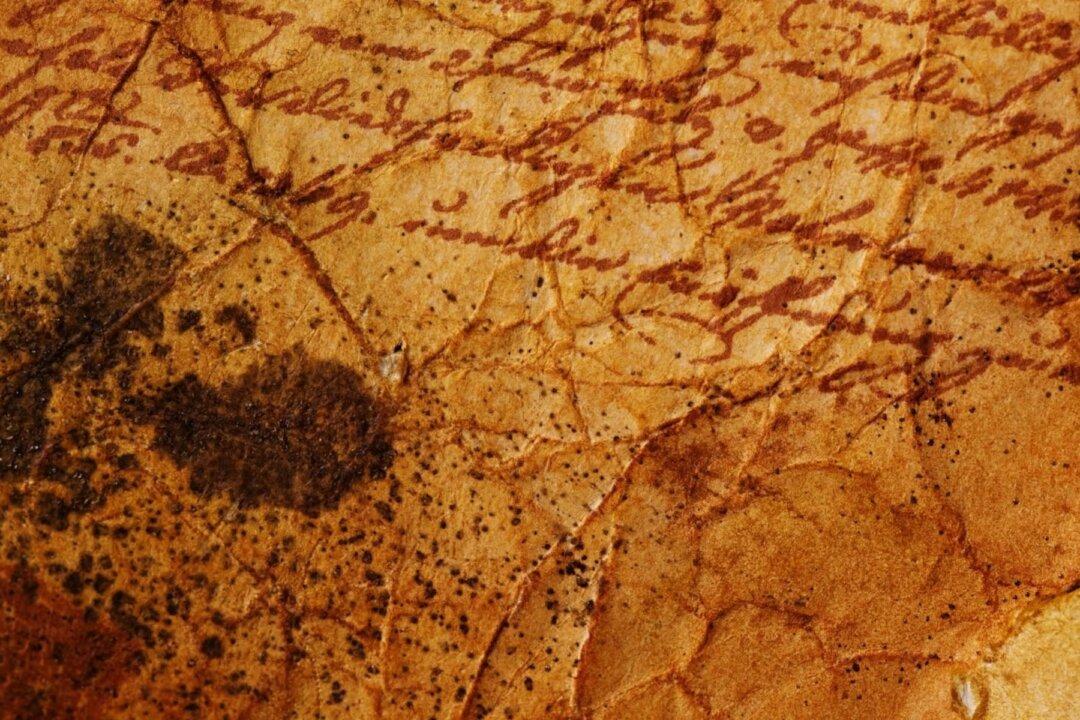 The Pandemic Treaty Will Compound Past Mistakes