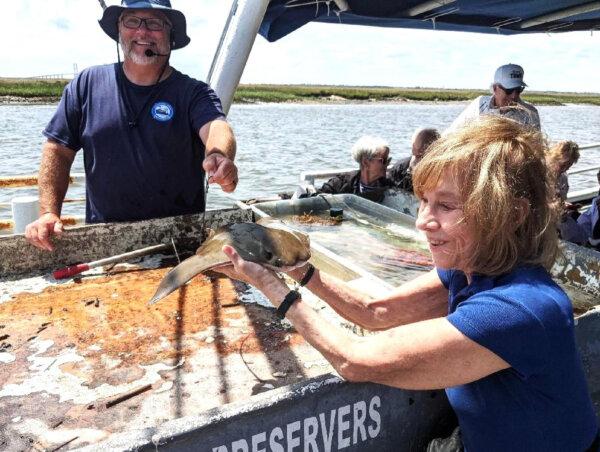 The author enjoys a personal encounter with a stingray during an excursion on a shrimp boat during the American Cruise Line Historic South and Golden Isles Intra-Coastal Waterway Cruise. (Photo courtesy of Victor Block)