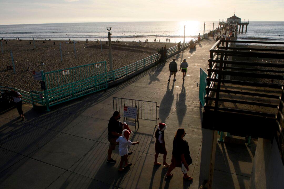 Bee Swarm Shuts Down California Beach Pier