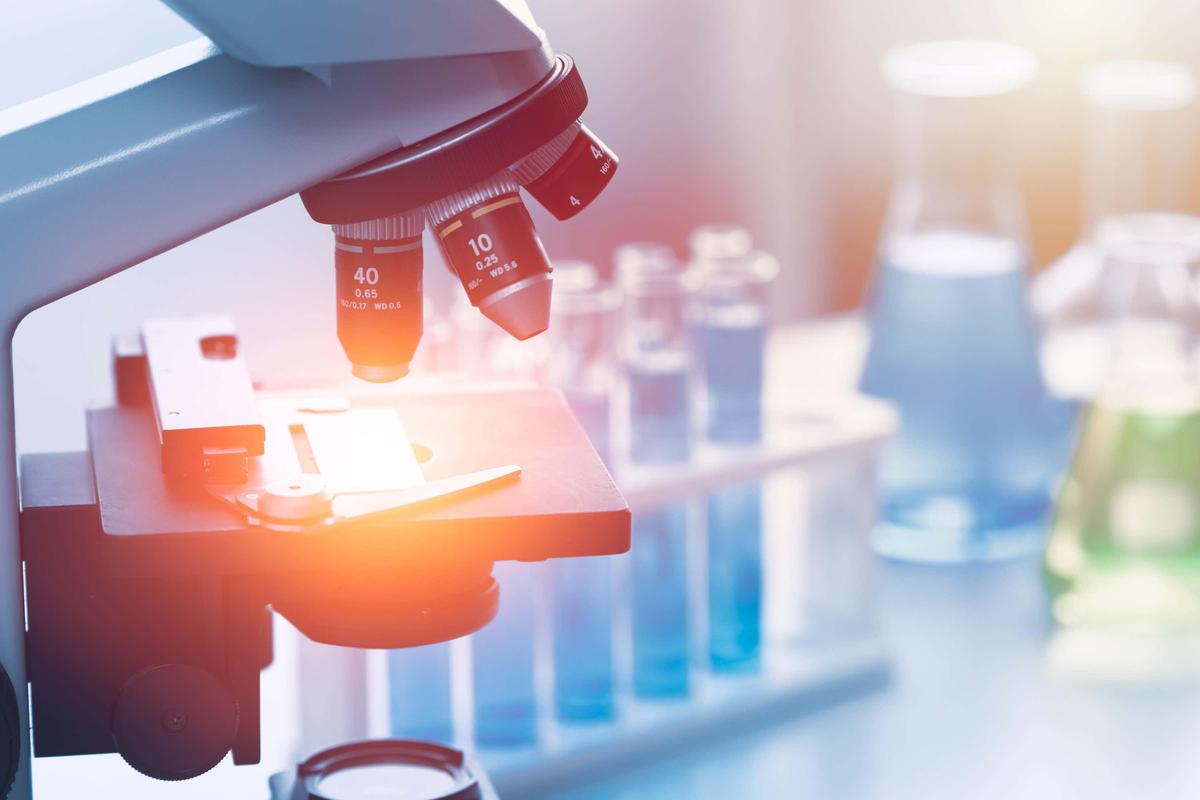 The Relevance of the Natural Sciences Methods in Economics