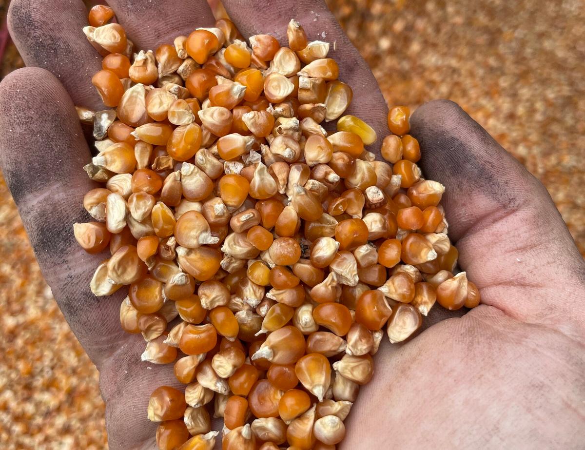 Don’t Like Grits? You Just Haven’t Tried Greg Johnsman’s