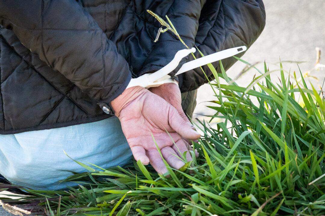 Men Arrested After Allegedly Posting Photo With Cash From Armed Robberies on Instagram