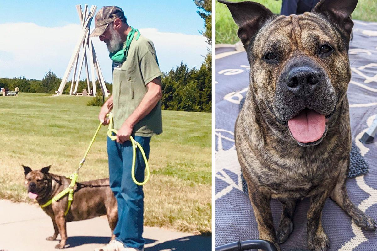 Man With Stage 4 Cancer Looks For New Home for His Beloved Dog—After He’s Gone: ‘She Deserves a Good Life’