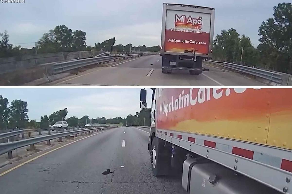 Body camera footage from Officer Stanfield of the Alachua Police Department shows him approaching the kitten on the highway. (Courtesy of <a href="https://www.facebook.com/AlachuaPolice">Alachua Police Department</a>)