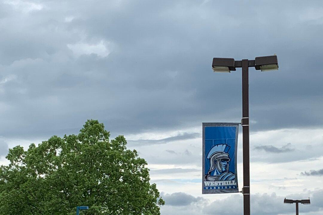 New York School Districts Comply With State DEI Policy Forcing Mascot Changes