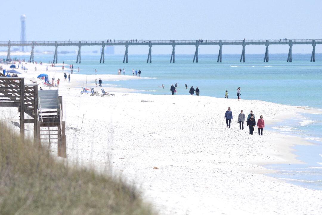 Florida Authorities Warn of Shark Dangers Along Gulf Coast Beaches After 3 People Are Attacked
