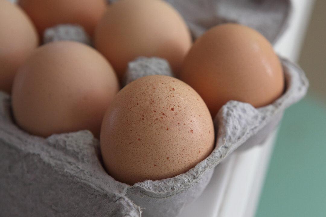 Supermarket Giant Imposes Egg Purchase Limit Across Australia