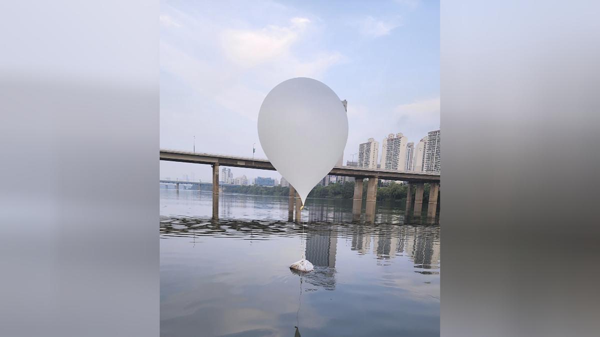 North Korea’s Trash Balloons Contain Parasites From Human Feces: South Korea