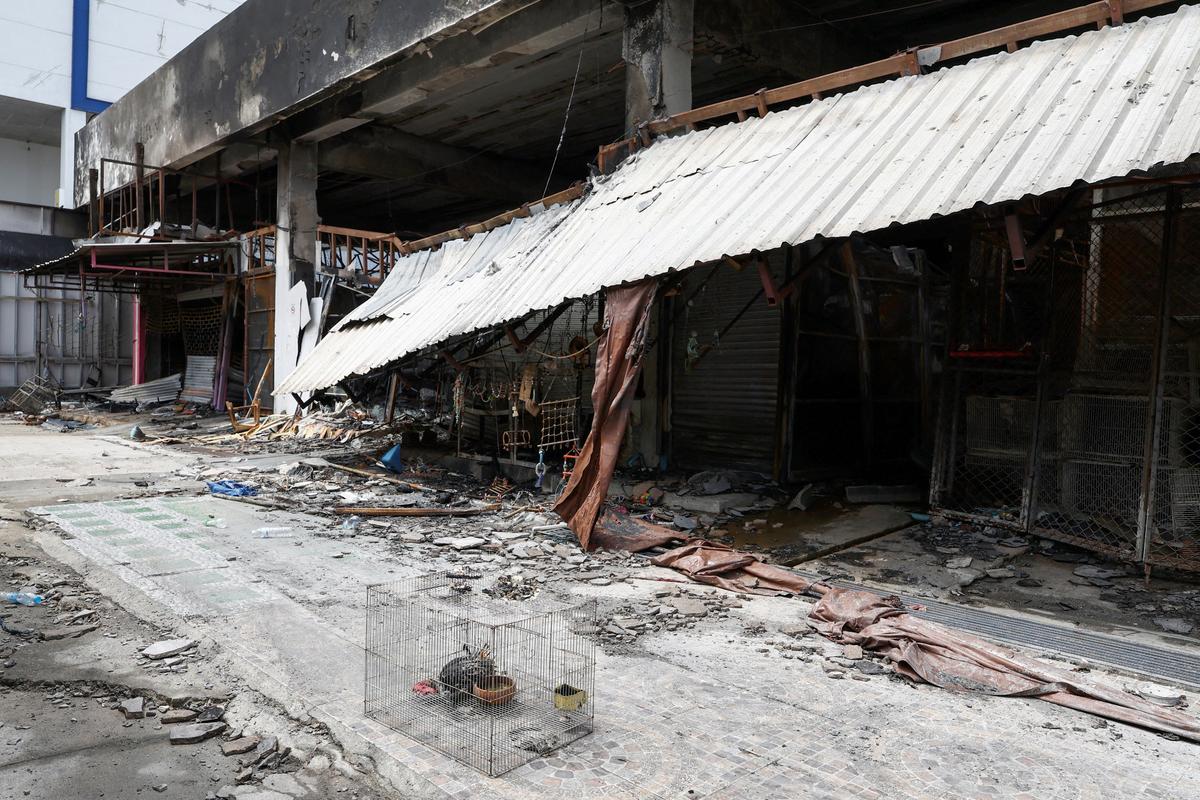 More Than 1,000 Exotic Animals Perish in Thailand Market Fire