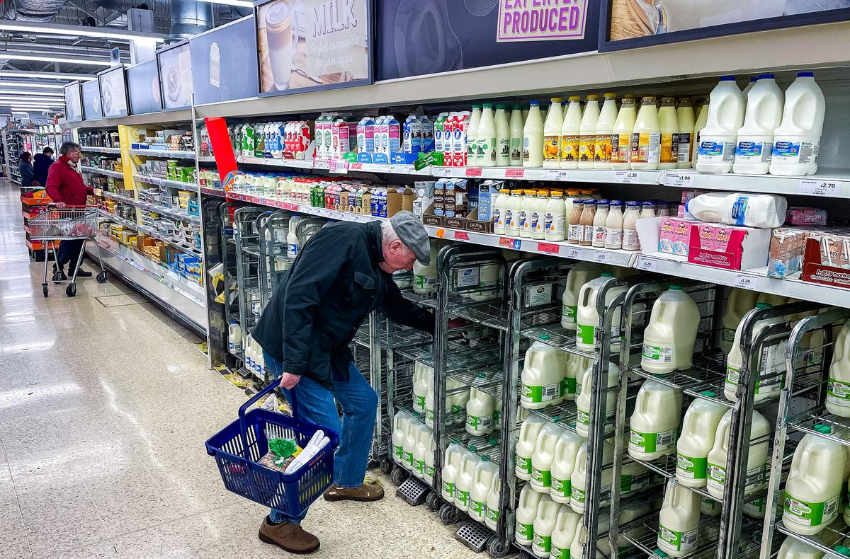Organic Milk Farmers Reverting to Conventional Production, Risking Shortages