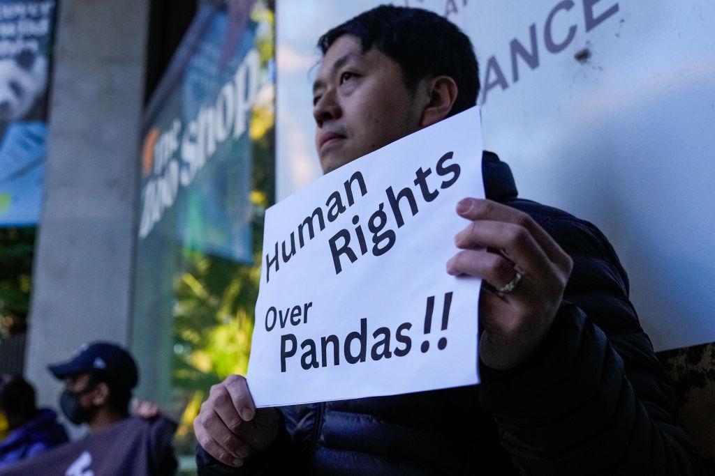 Former Hong Kong politician and pro-democracy activist Ted Hui holds a placard reading "Human Rights Over Pandas" at Adelaide Zoo in Adelaide, Australia, on June 16, 2024. (Asanka Ratnayake/Getty Images)