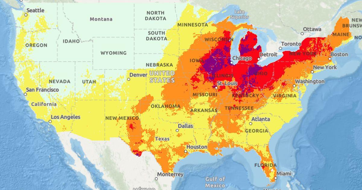 75 Million Americans Under Heat Advisories as Agencies Warn of Heat Stroke