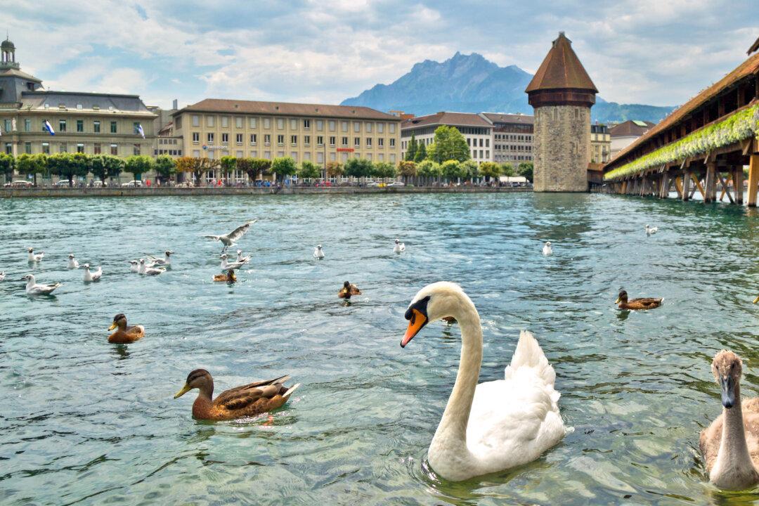 Rick Steves’ Europe: Urban Stops in Scenic Switzerland
