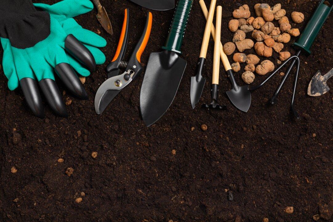 Smaller Tools Are Convenient for Smaller Gardeners