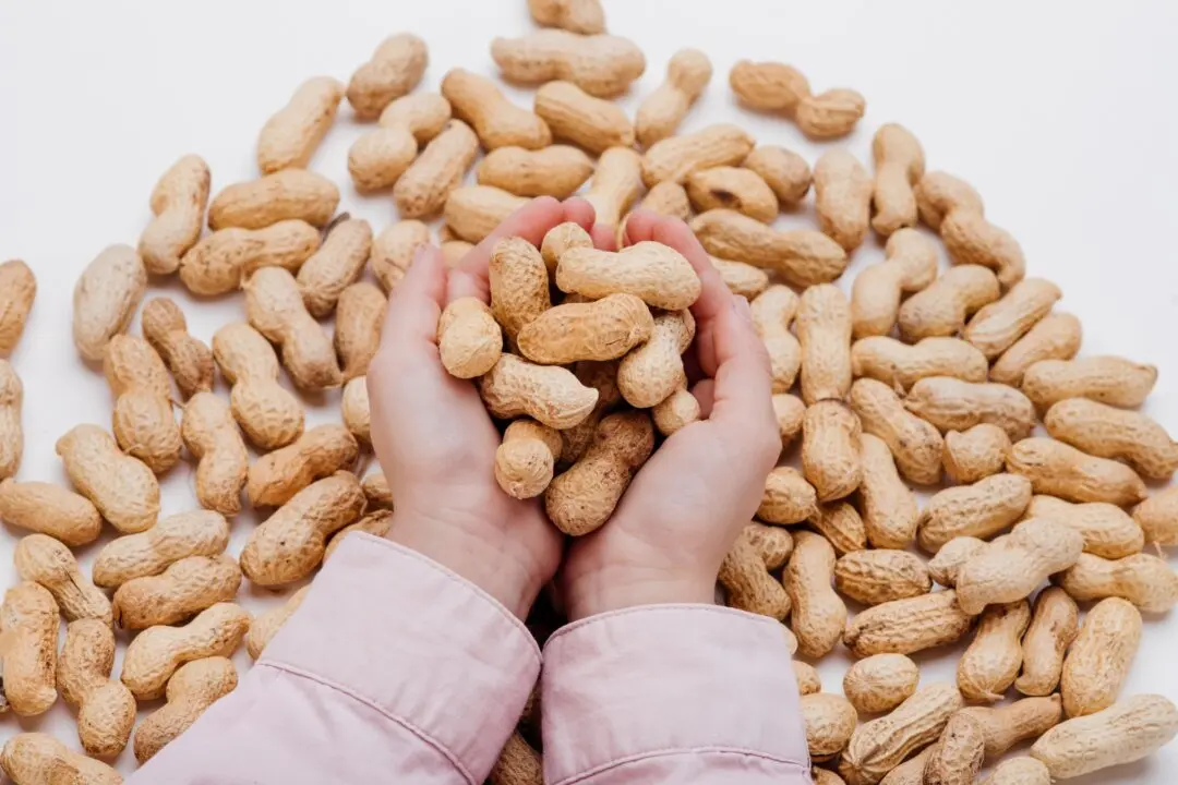 Peanut Allergies in Children Have Dropped Significantly: Study