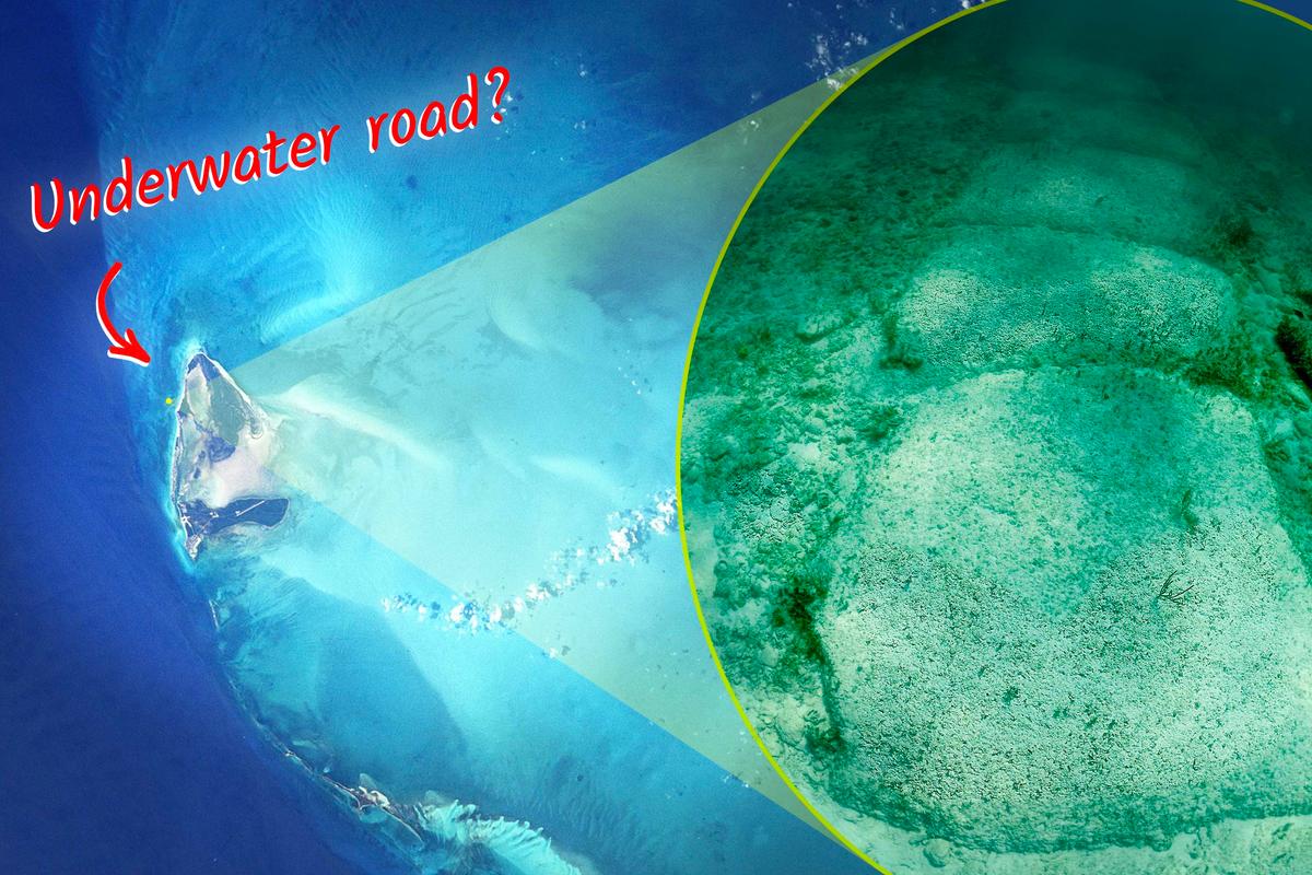 Divers Find ‘Paved Road’ Underwater Built Over 10,000 Years Ago—Was It Advanced Ancient Humans?