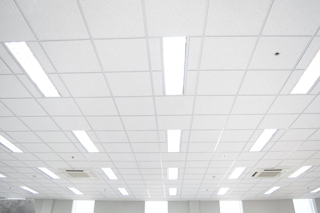 Fluorescent Light Bulbs to Be Banned in Canada