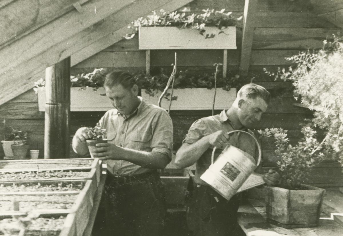 How the US Treated Prisoners of War With Dignity During World War II