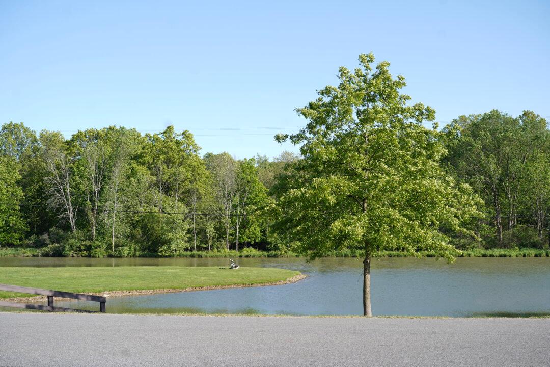 Orange County Mulls New Position to Promote Parks to Local Residents