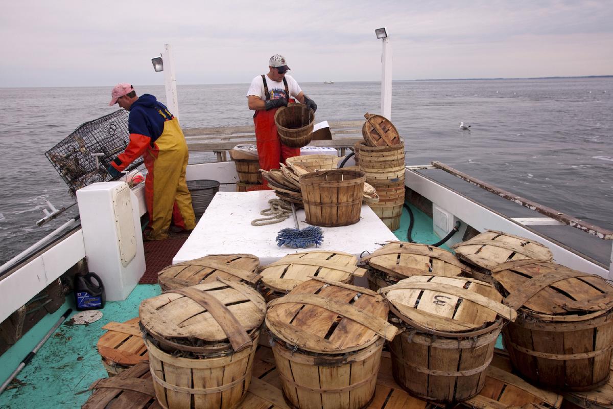 Learning and Leisure Abound in Talbot County