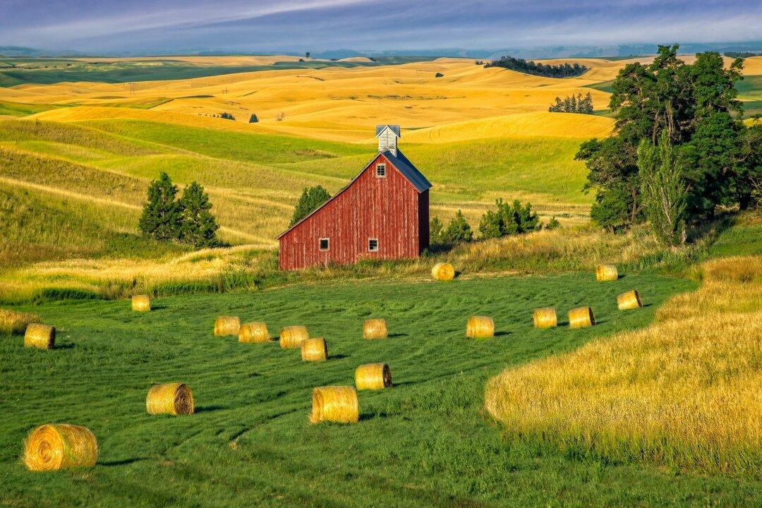 A Proverb of Prompting: ‘Make Hay While the Sun Shines’