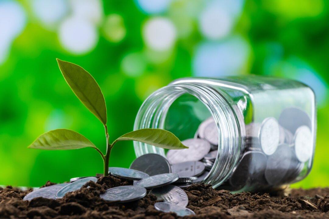 Dividends Are on the Way Back