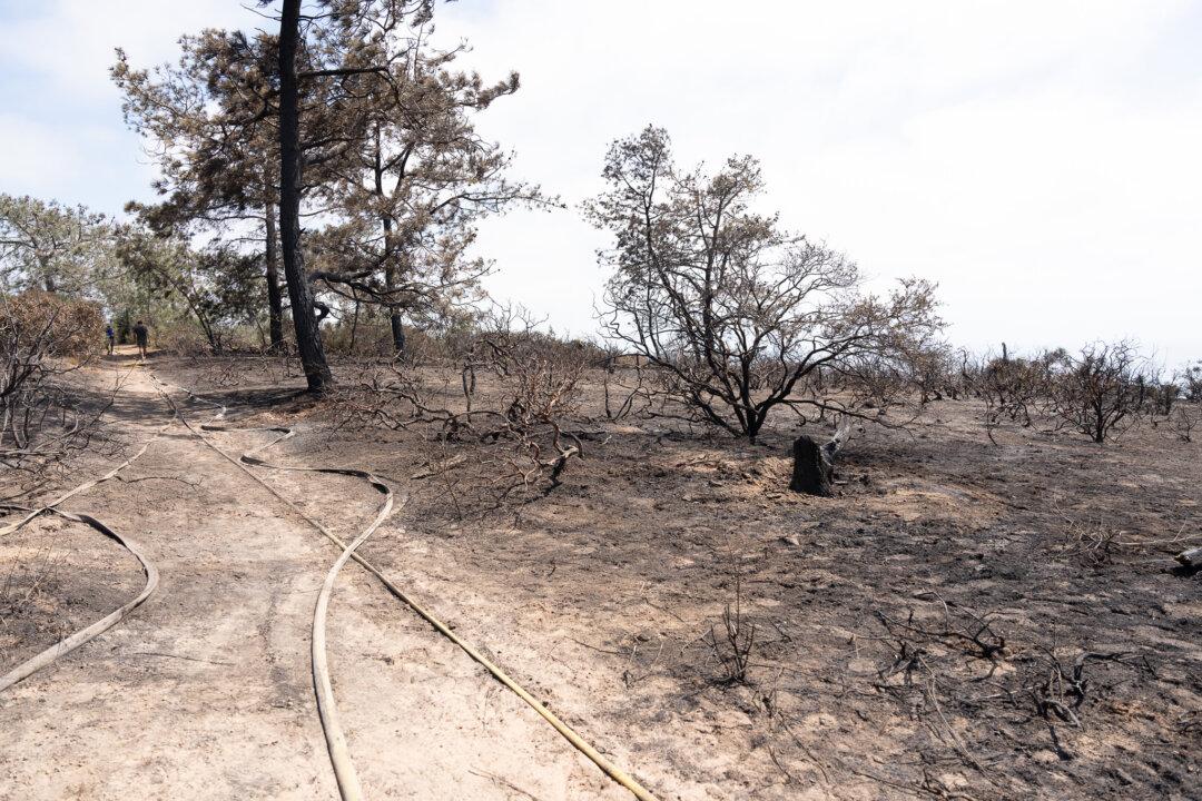 San Diego Torrey Pines Reserve Fire Nearly Contained, Residents Thankful